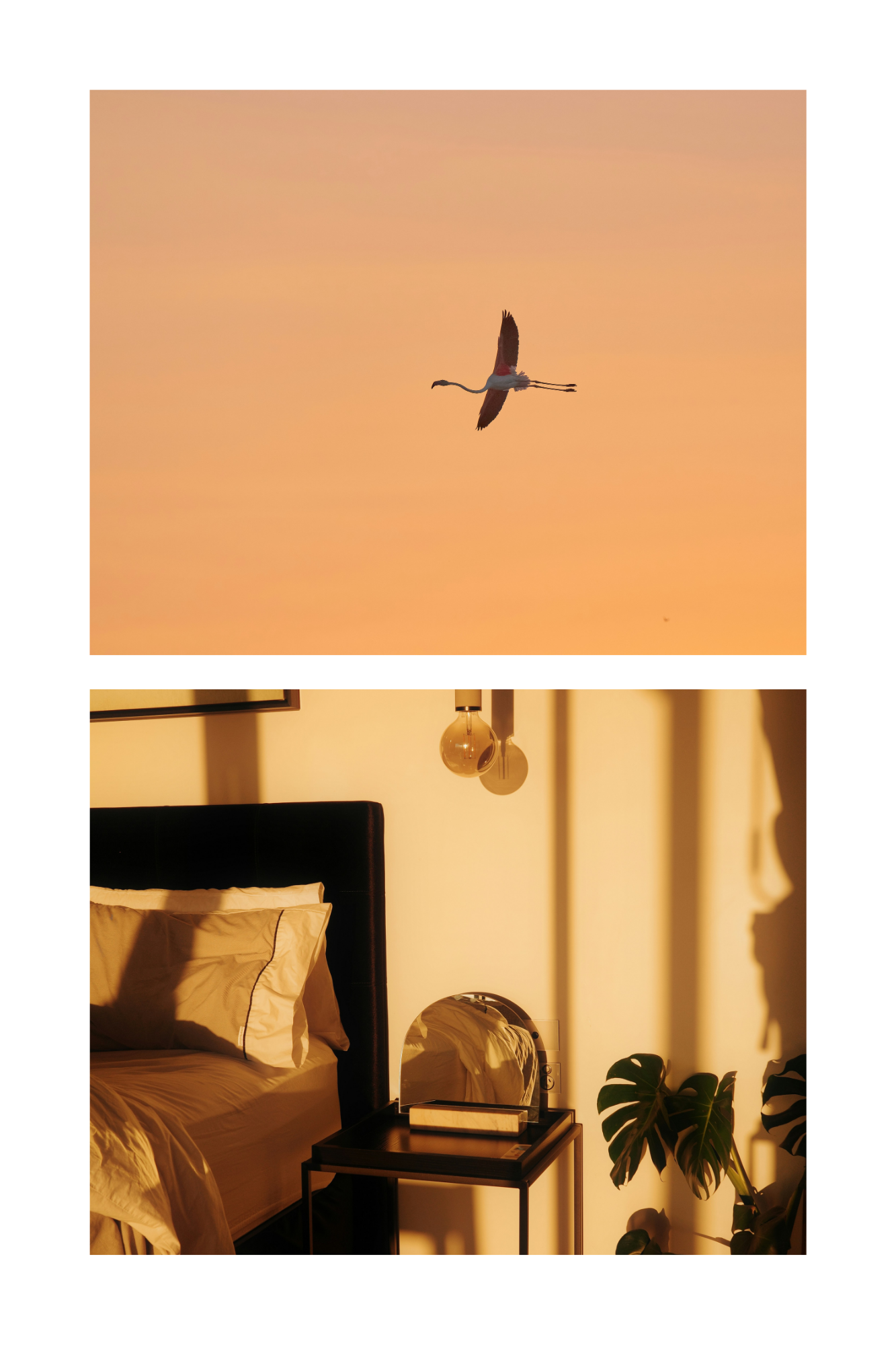 beige minimalist mood photo collage (3)