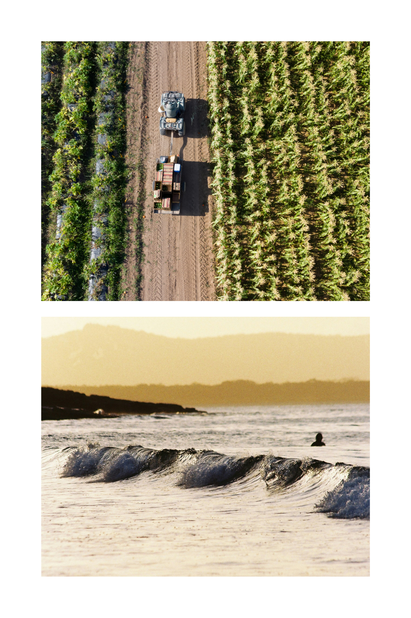 beige minimalist mood photo collage